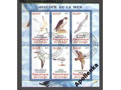 Pták, ptáci, fauna - Kongo