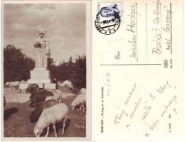 Beskydy - Radegast na Radhošti, ovce před sochou, 1954, raz.