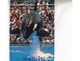 431148 USA - SeaWorld