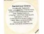 GAMBRINUS - Victory