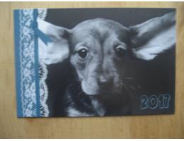 Více obrázků