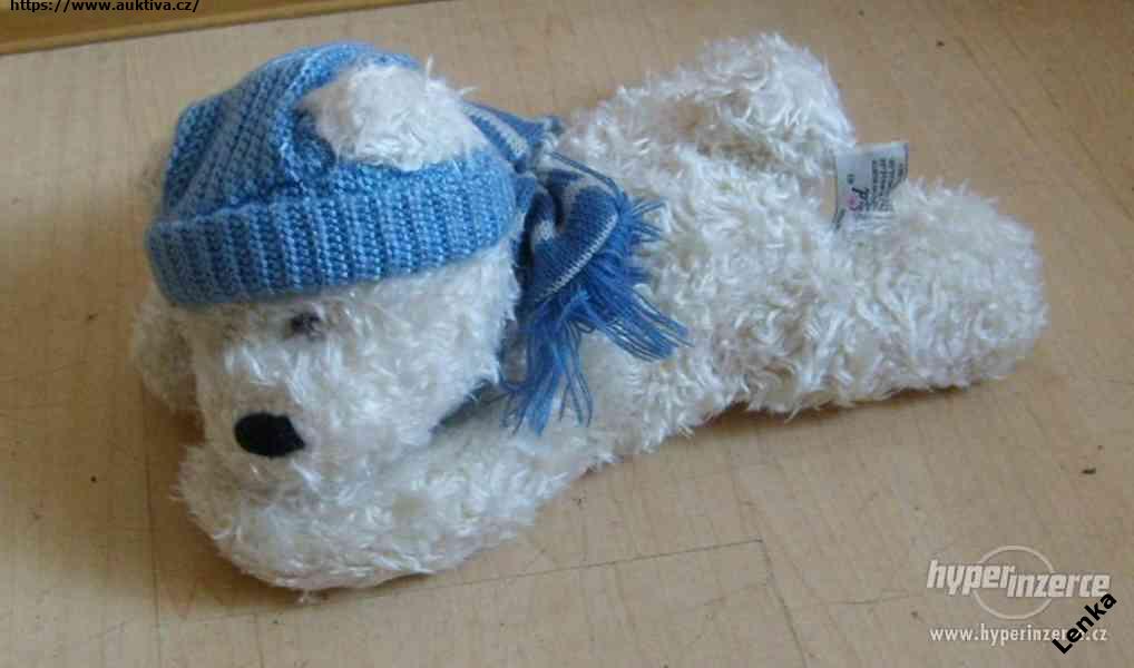 Klikněte pro zvětšení