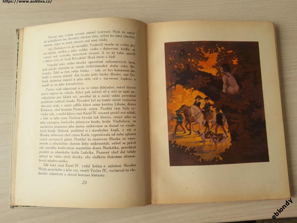 Klikněte pro zvětšení