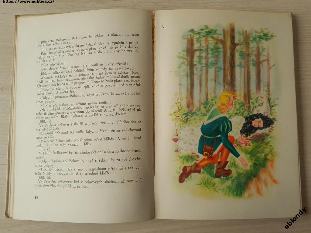 Klikněte pro zvětšení