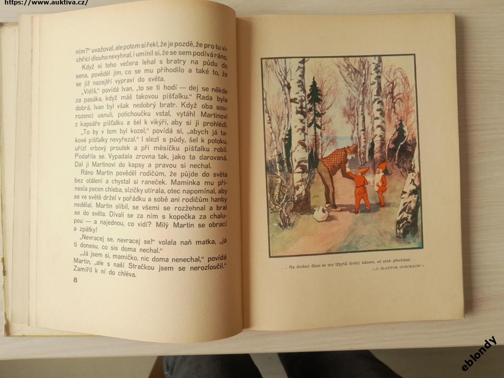 Klikněte pro zvětšení