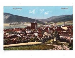 ŠUMAVA  PRACHATICE  č. 294 FOTO J. SEIDEL r.1912   °53807CH