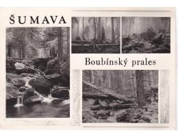 ŠUMAVA BOUBÍNSKÝ PRALES  ORBIS  °14027L