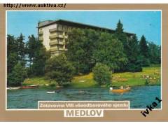 417210 Medlov