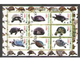Rwanda - želva, želvy
