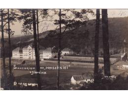 SANATORIUM NA PROSEČNICI =JÍLOVÉ /rok1925?*AA7215