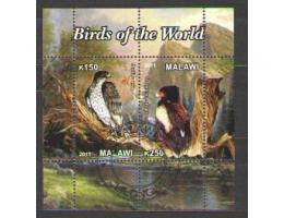 Pták, ptáci, dravci - Malawi