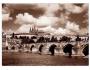 Praha Karlův most c3*