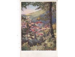 TRENČIANSKÉ TEPLICE=mal.KOSA=rok1920*P3329