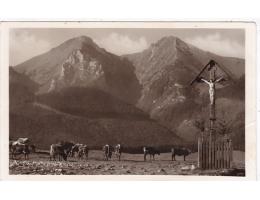 BELANSKÉ TATRY=ŽDIARSKÉ VIDLE+KRÁVA=rok1930*P3332