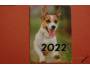 KK 2022 ARIA viz foto !!!
