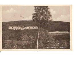 SANATORIUM NA PLEŠI  /rok1940?*kro290