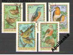 Pták, ptáci, fauna - Maďarsko