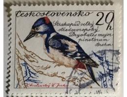 ČS o Pof.1078 Fauna - ptáci - strakapúd