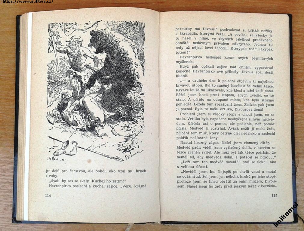 Klikněte pro zvětšení