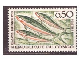Kongo - ryba, ryby **