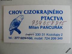 Více obrázků