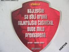 Více obrázků