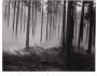 UMĚLECKÁ FOTOGRAFIE=RUDOLF ŠTĚRBA=č.48