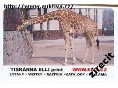 Více obrázků
