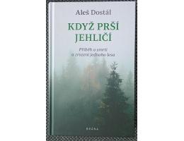 Více obrázků