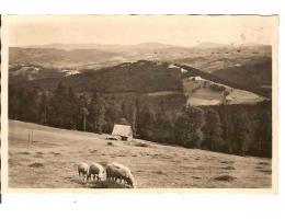 JAVORNÍKY - N.HROZENKOV/VSETÍN /r.1941?*kb967