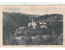 JANSKÉ LÁZNĚ=NĚMECKY NAPIS =KRKONOŠE /rok1924?*kc6087