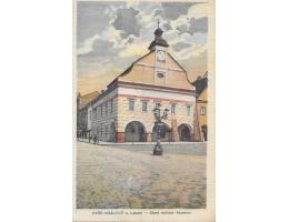 DVŮR KRÁLOVÉ NAD LABEM /r.1920 /M256-20