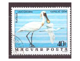 Maďarsko - pták, fauna