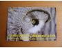 Klikni pro zvětšení