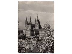 Praha Hradčany stromy v květu  °1782a