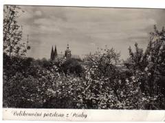 Praha Hradčany stromy v květu  ***1785