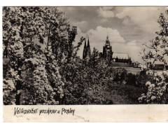 Praha Hradčany stromy v květu  °1786