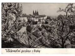 Praha Hradčany stromy v květu  °1787