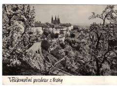 Více obrázků