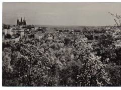 Praha Hradčany stromy v květu  °1793