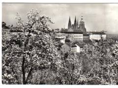 Praha Hradčany stromy v květu  °1800