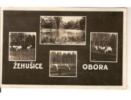 Více obrázků