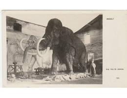 MAMUT =MUSEUM PRAHA=FOTO ABSOLON=rok1928?*kc2346