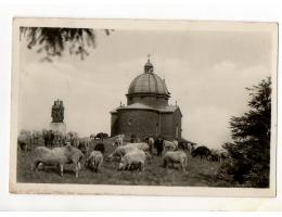 Radhošť,kaple s ovcemi.r.1951 prošlá,U8/61
