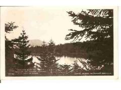 ŠUMAVA / ČERNÉ JEZERO  /r1927?*ab420