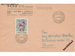 PRAHA =DIVADELNÍ VYSTAVNICTVÍ= TISKOPIS =ČSR /rok1967*c=2474