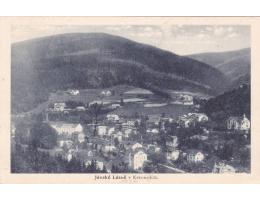 KRKONOŠE=JANSKÉ LÁZNĚ=rok1920*AA10201