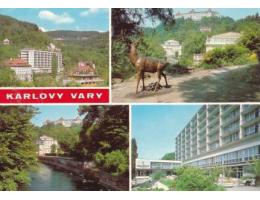 419992 Karlovy Vary