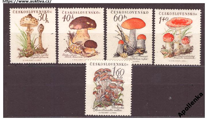 Klikněte pro zvětšení