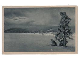 Krkonoše IV. Pančava foto  Dr. K. Procházka 1920   °11414